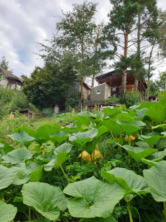 Birch Cottage Statenice Ngoại thất bức ảnh